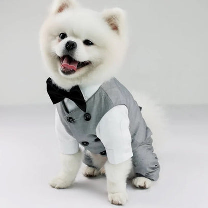 Distinguished Gentleman Two-Piece Dog Suit | Formal Dog Outfit Set