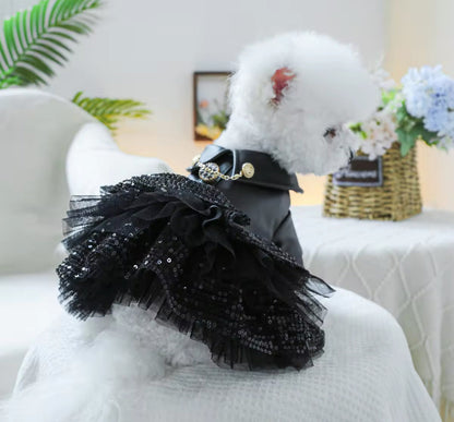 She’s a Rockstar Dog Dress | Dog Dress for Special Occasions