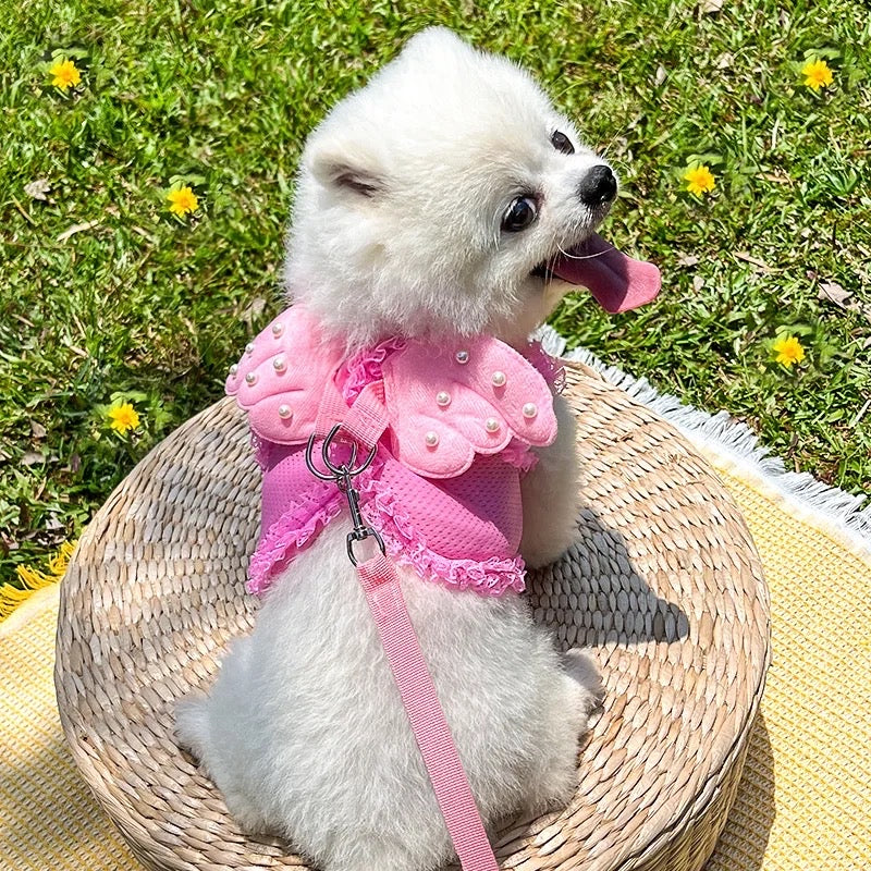 Angel Wings Dog Walking Set | Harness and Leash