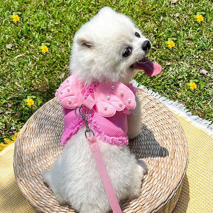 Angel Wings Dog Walking Set | Harness and Leash