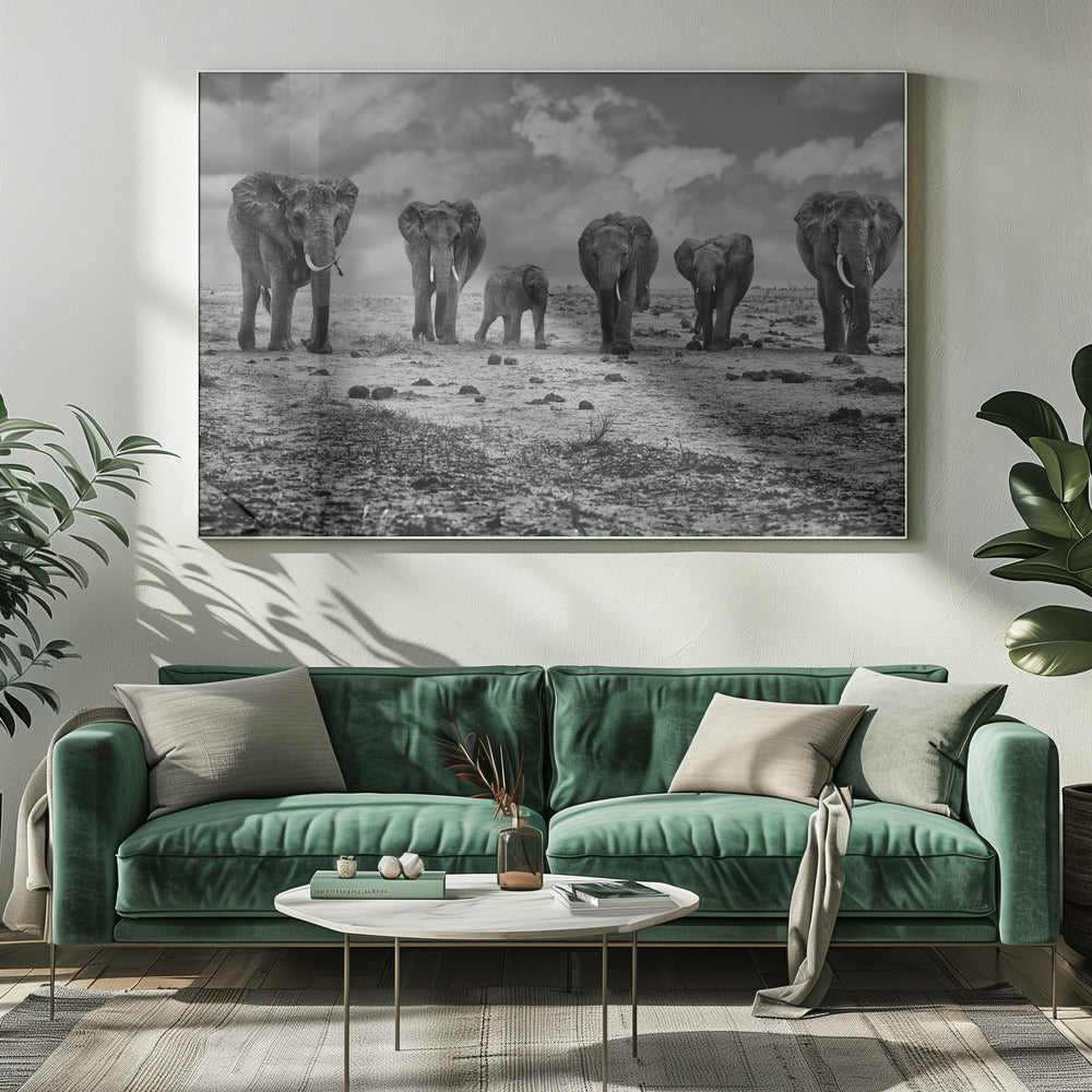 Wall art Big Family. Elephants