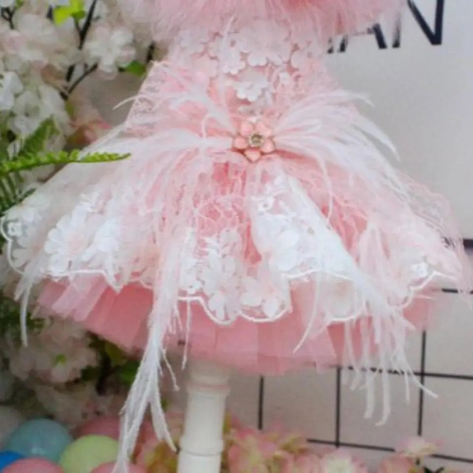 Baby Boo Feather Dog Dress | Elegant Occasion Dog Dress