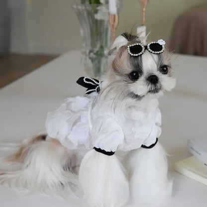 Robe Chewnel pour chiens – Tenue élégante pour chien