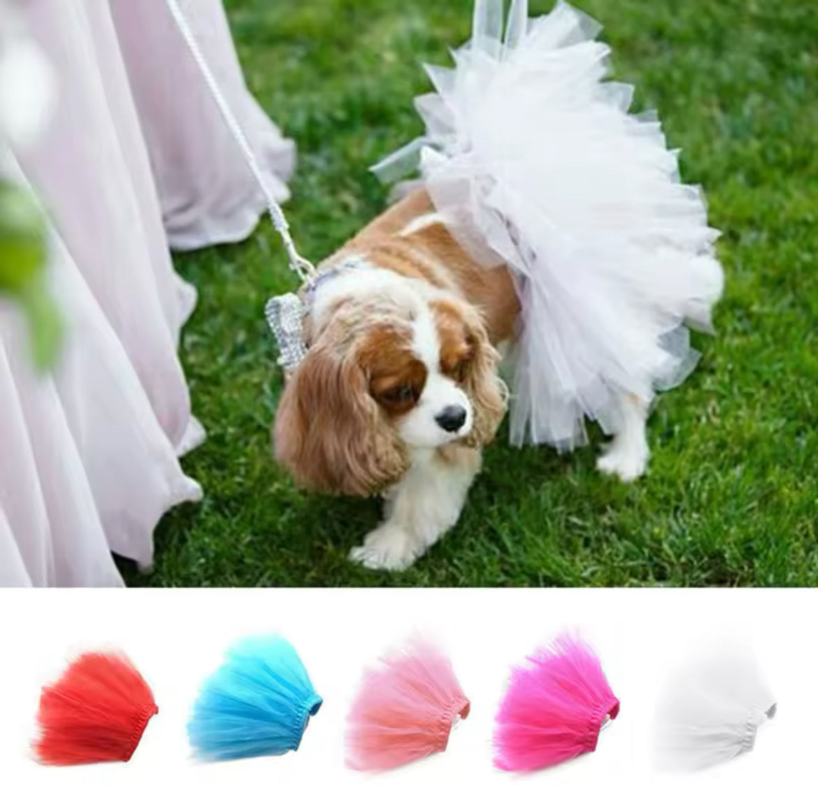 Jupe Tutu Doggy Couture – Jupe de luxe en tulle pour chiens
