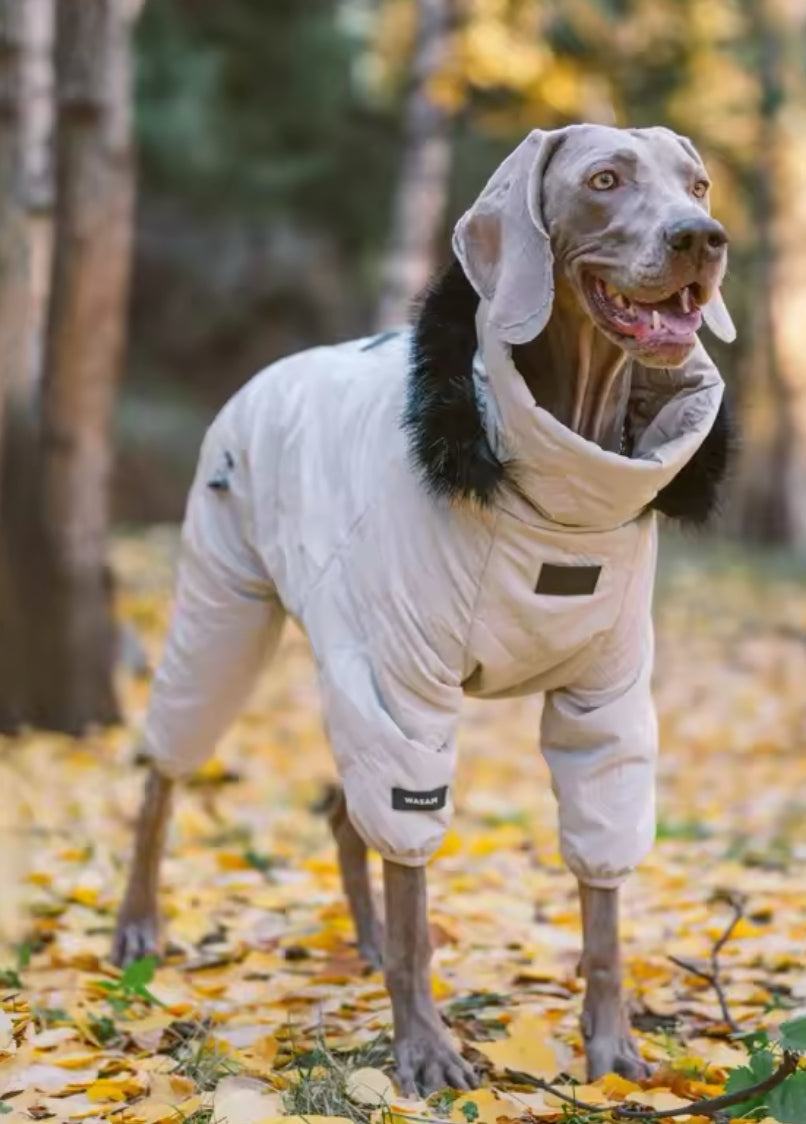 Winter Dog Jacket | Dog Jacket with Hood for Cold Weather