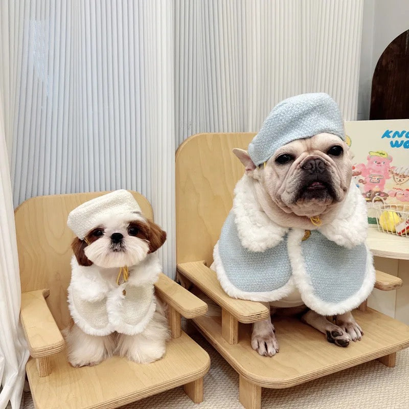 Fabulous Dog Cape Set | Statement Cape with Matching Hat