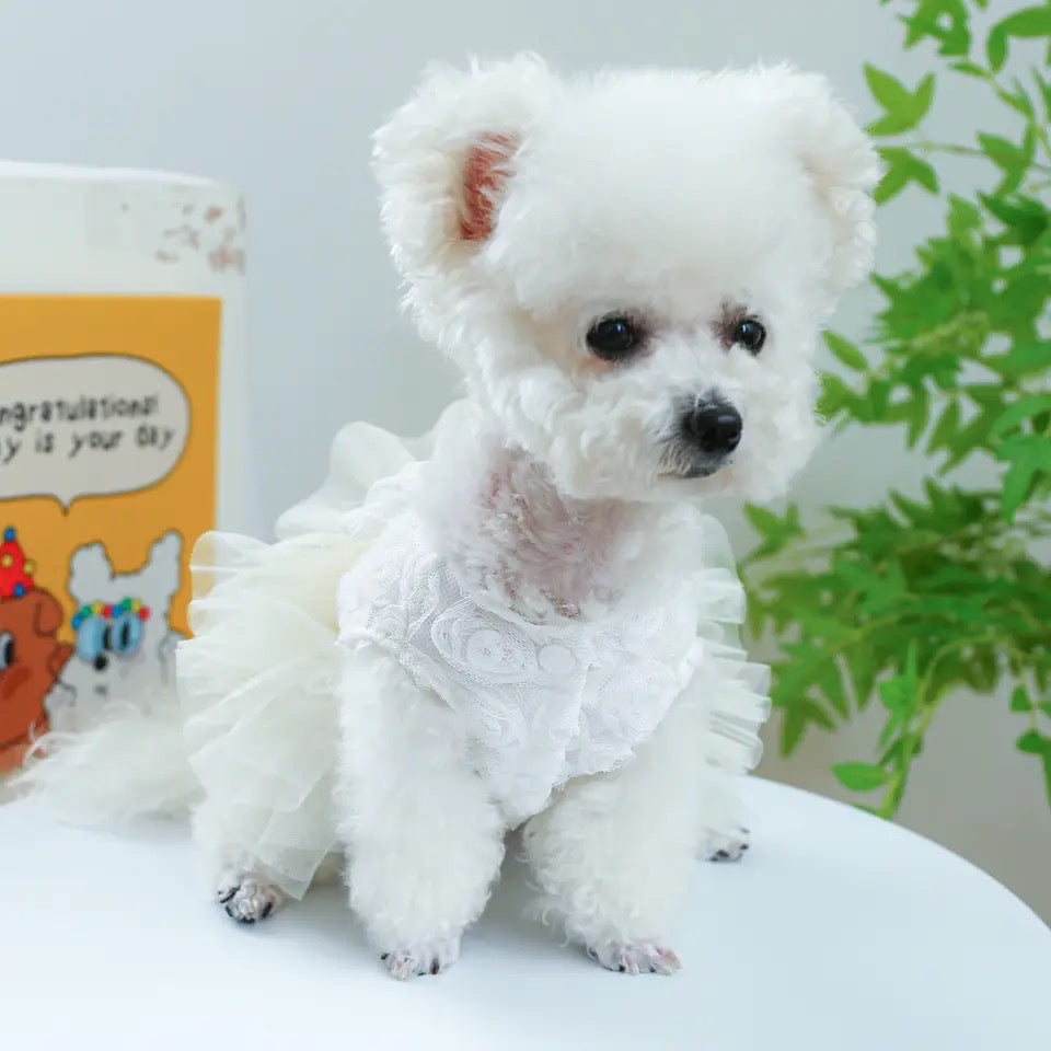 It’s My Wedding Dog Dress | Pet Formal Dress