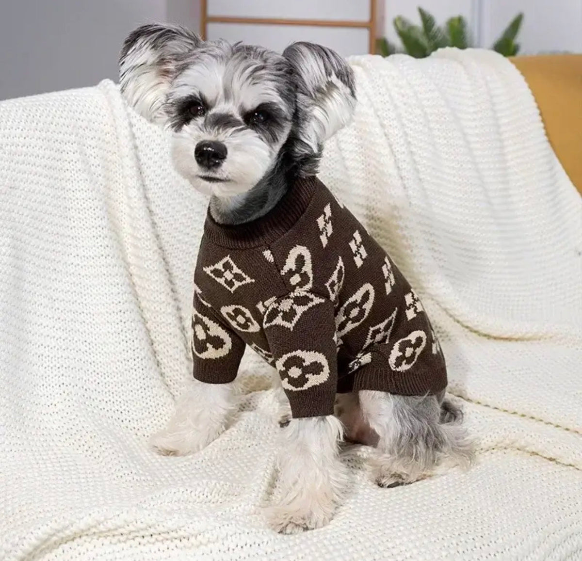 Chewy Pawtton Dog Sweater | Classic Knit Dog Clothes for Small and Large Dogs