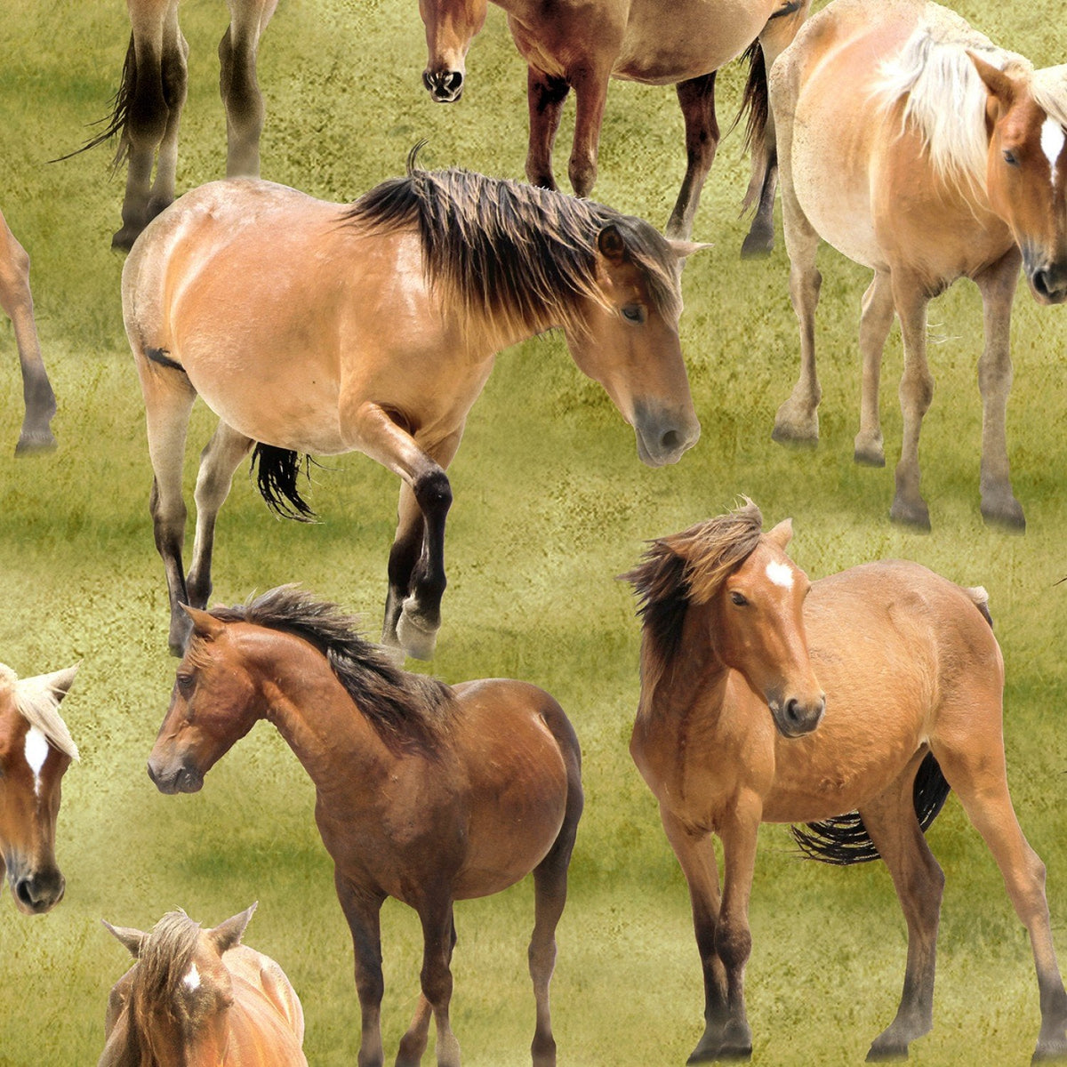 De plus verts pâturages -Jennifer Pugh- Chevaux verts