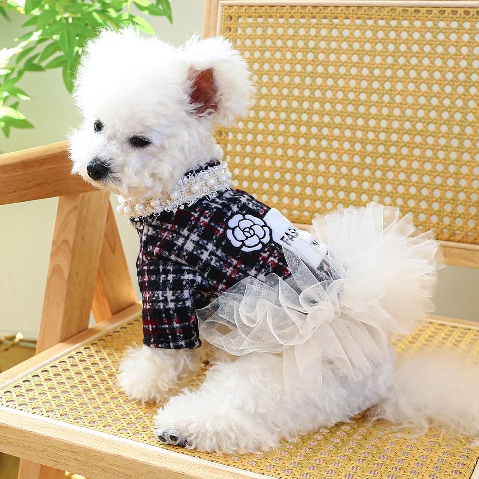 Robe tutu pour chien | Robe à la mode pour animaux de compagnie