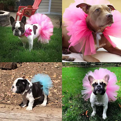 Jupe Tutu Doggy Couture – Jupe de luxe en tulle pour chiens