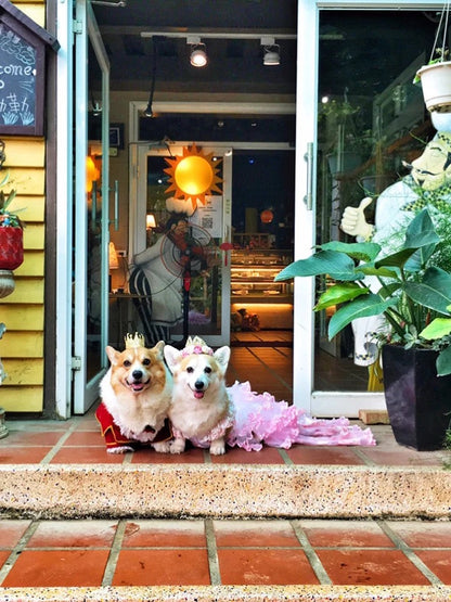 Ezra Tuxedo Suit
