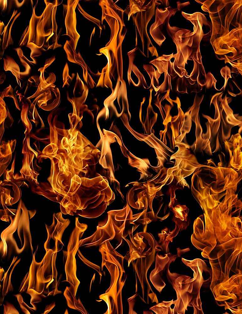 Tissu « Fire » par Timeless Treasures - #C7734
