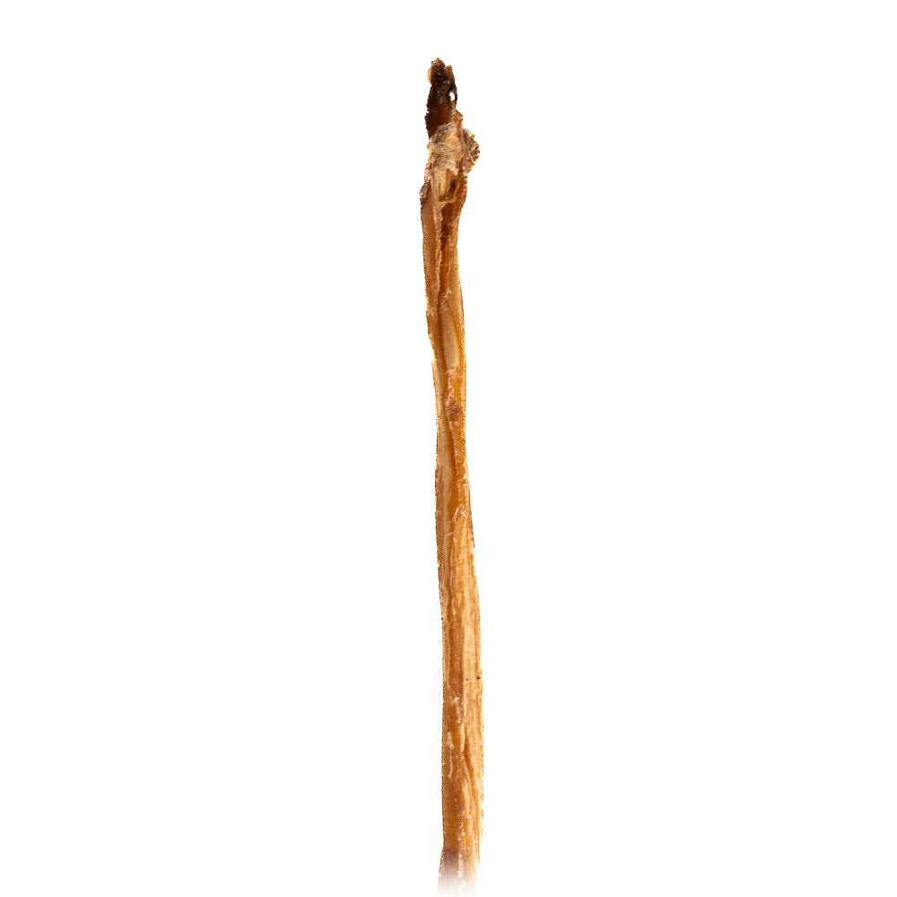 9-14" Lamb Pizzle Stick Single