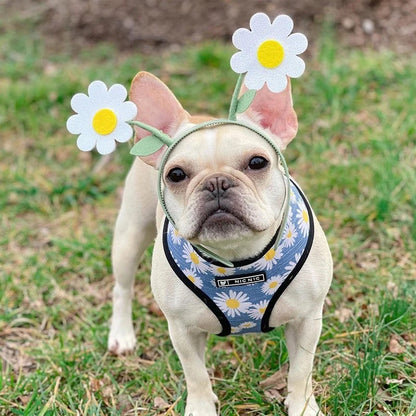 Daisy Harness