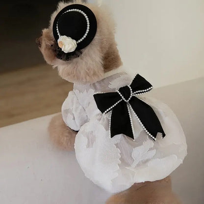 Robe Chewnel pour chiens – Tenue élégante pour chien