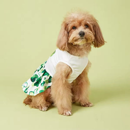 It’s Your Lucky Day Dress – Saint Patrick’s Day Dog Dress