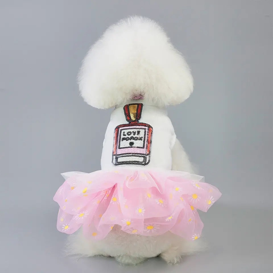 Robe Chien d'Amour | Robe Tendance pour Animaux de Compagnie