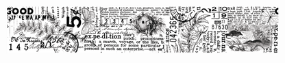 Arden Creative Studio Hidden Creek Journal Ruban adhésif PET prédécoupé