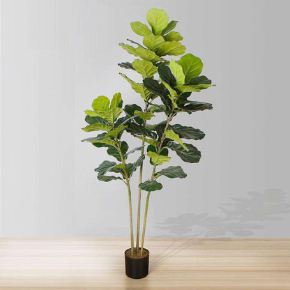 Plante artificielle en pot Alva Fiddle Leaf (Plusieurs tailles)