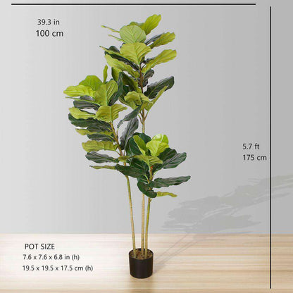 Plante artificielle en pot Alva Fiddle Leaf (Plusieurs tailles)