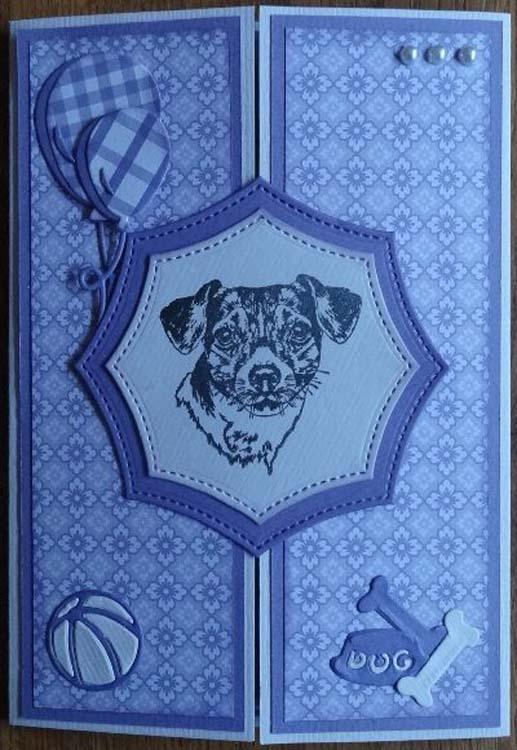 Nellie's Choice Tampons Transparents Animaux - Chien