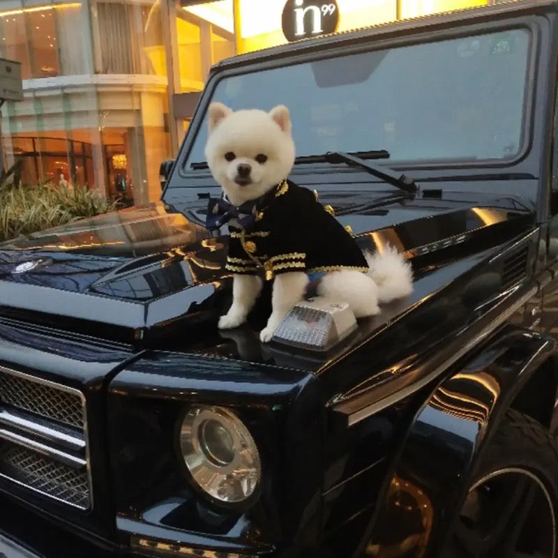 Captain Classic Dog Suit | Formal Occasion Dog Outfit