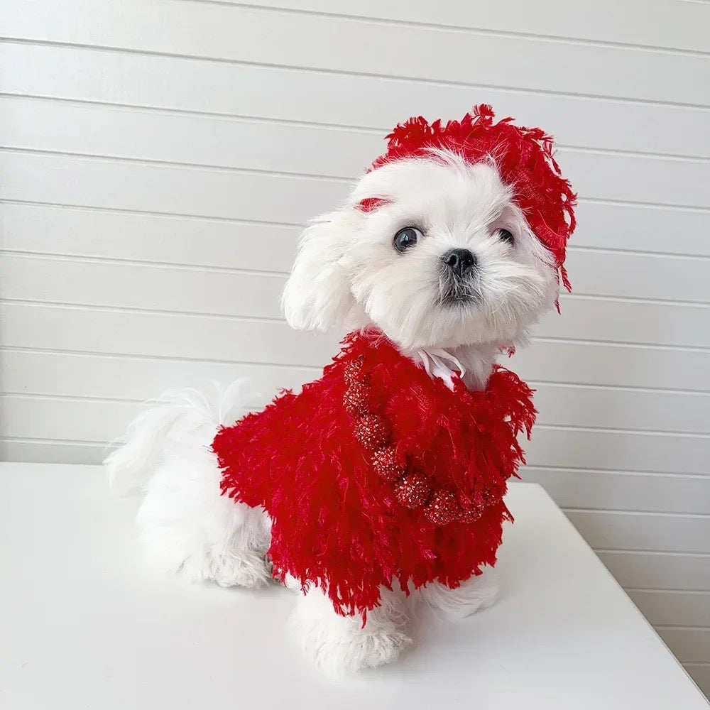 Ruby Woo Set | Dog Outfit Set