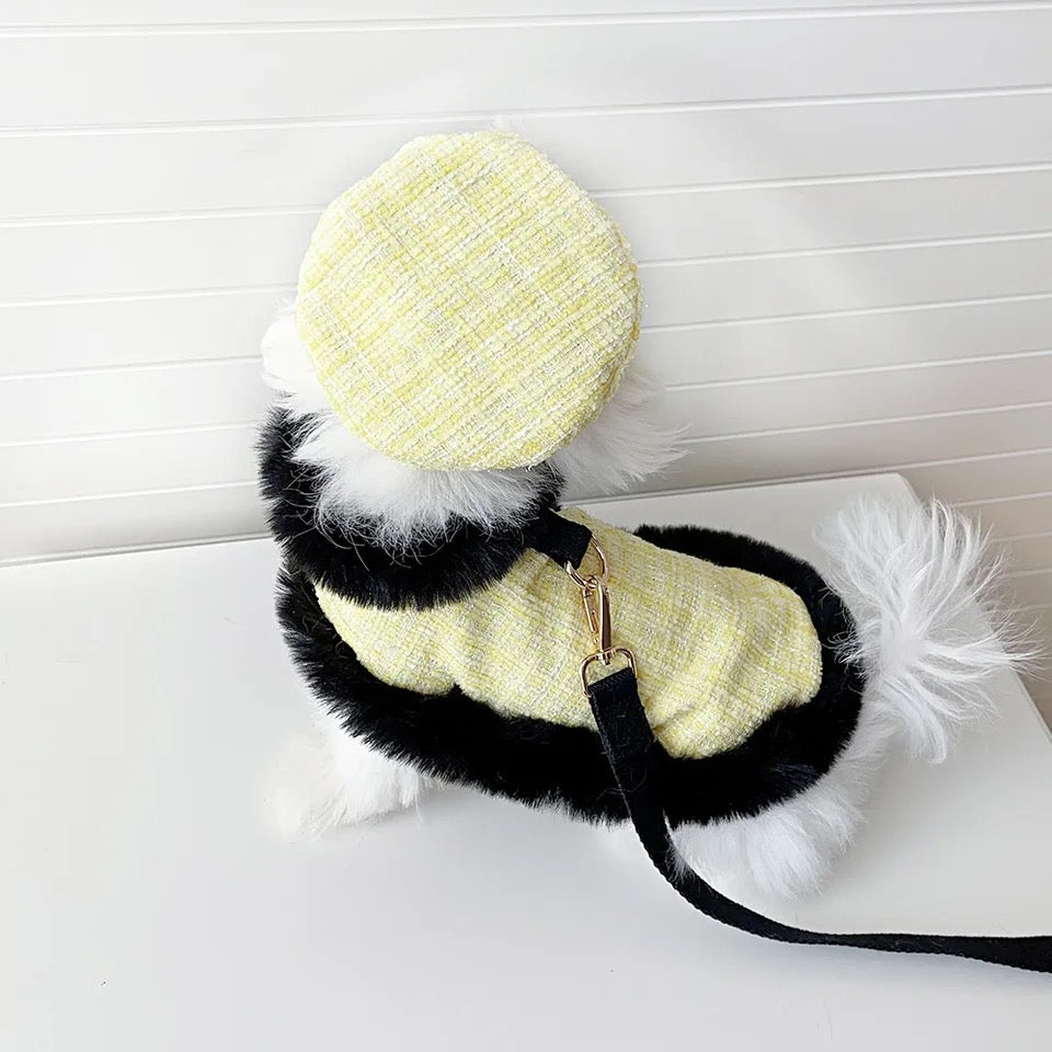 Plaid Tweed Harness Set | Dog Harness Leash and Hat Set