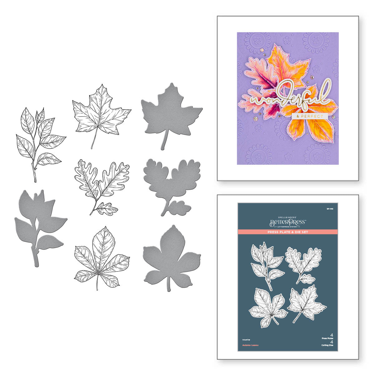 Plaque de presse et matrices Feuilles d'automne de la collection BetterPress Automne