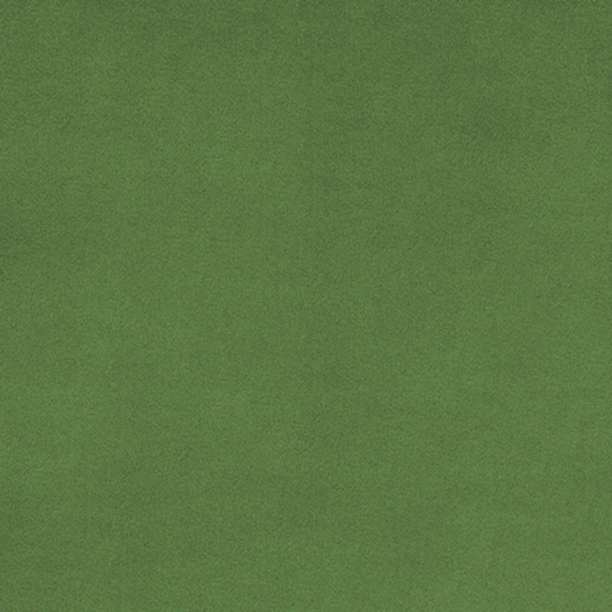 Shannon Fabrics - Cuddle - Basil Solid Cuddle 90in Wide