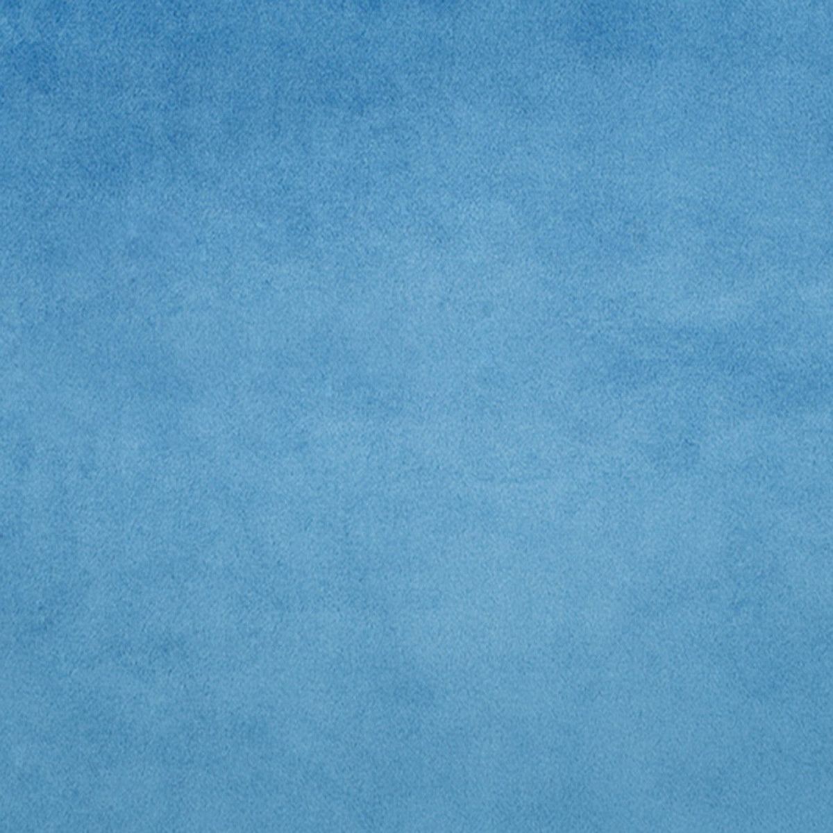 Shannon Fabrics - Cuddle - Tissu Cuddle uni 152 cm - Bleu campanule