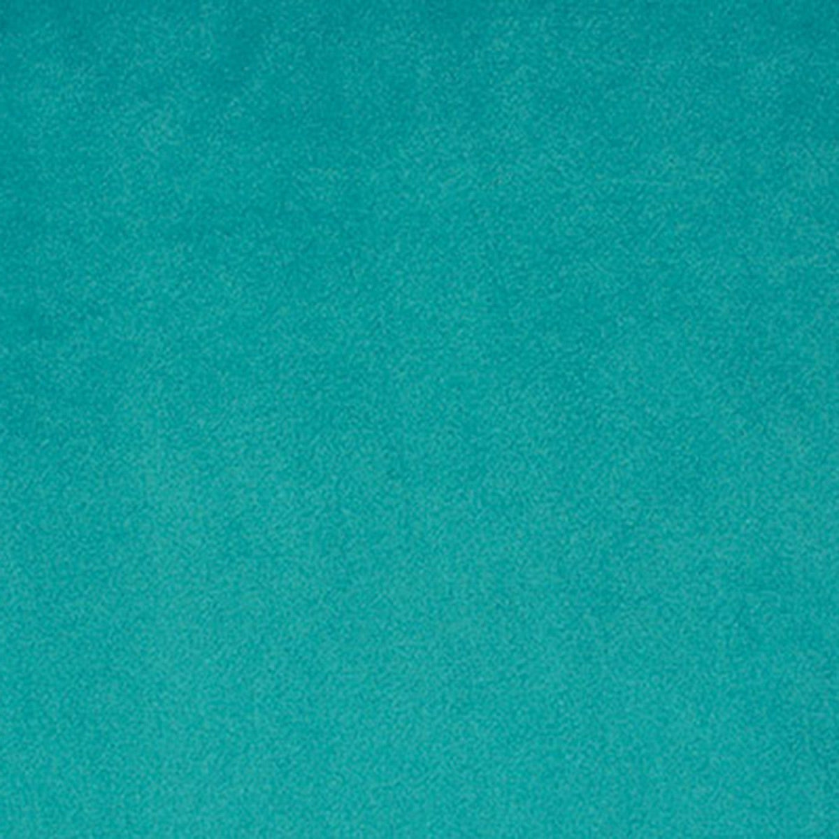 Shannon Fabrics - Cuddle - Teal Cuddle Solid 60in Wide
