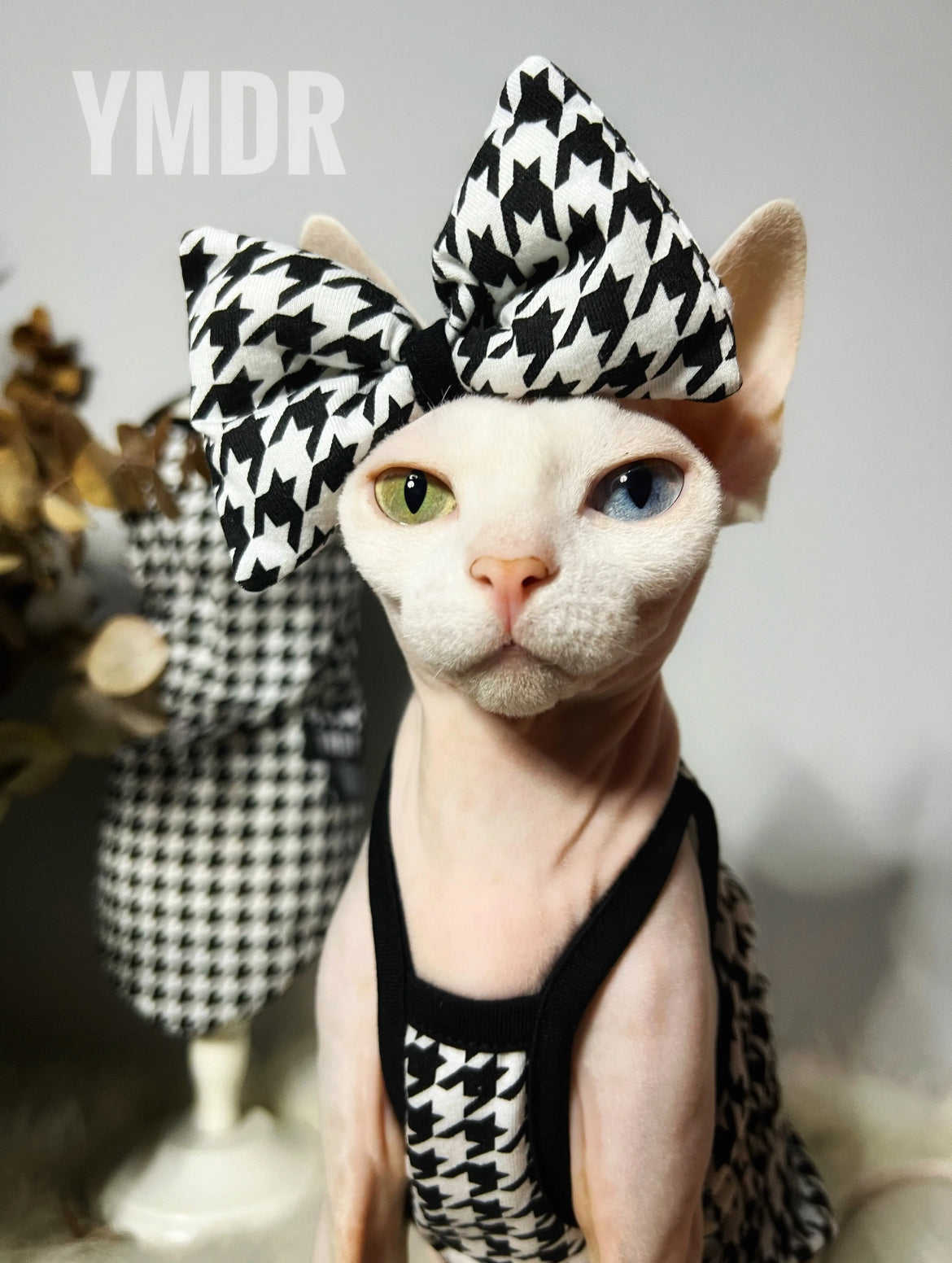 Leona Dog Dress | Dog Dress for Special Occasions