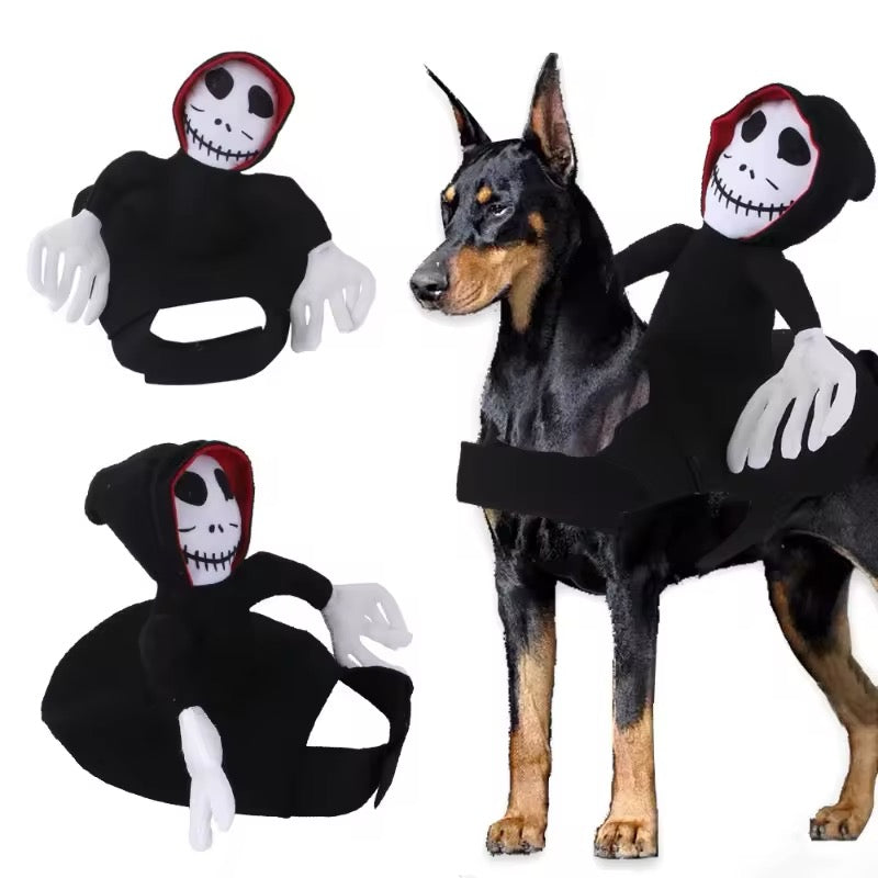 Ghost Rida Dog Halloween Costume | Dog Costume for Halloween