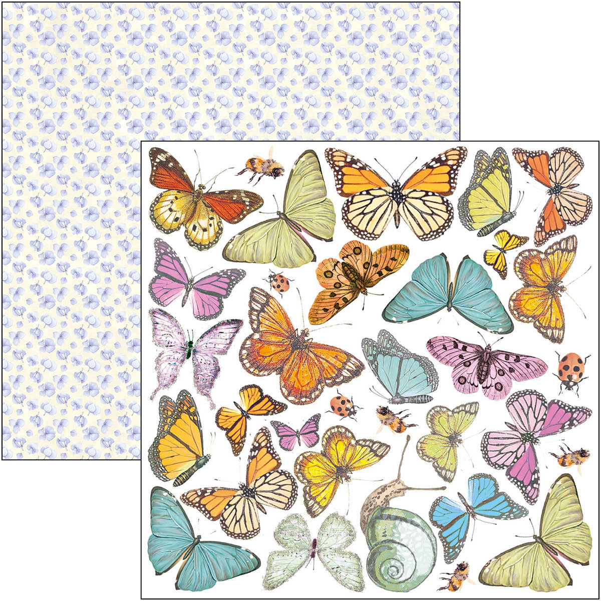 Ciao Bella Enchanted Land Fussy Cut Pad 15x15cm 24 feuilles/paquet