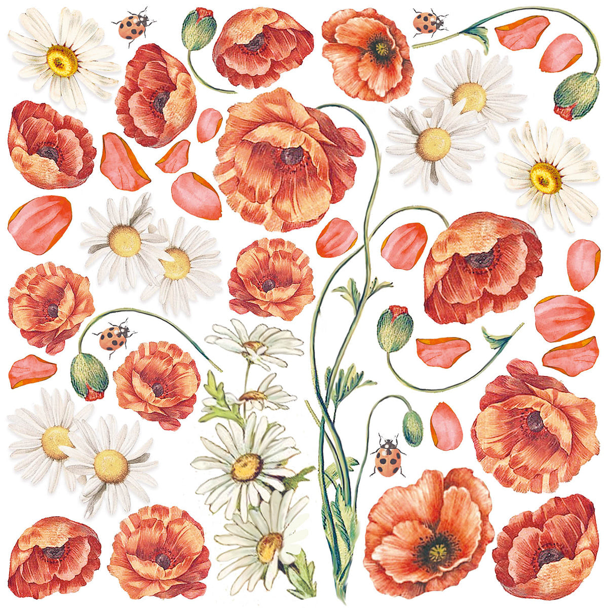 Ciao Bella Enchanted Land Fussy Cut Pad 15x15cm 24 feuilles/paquet