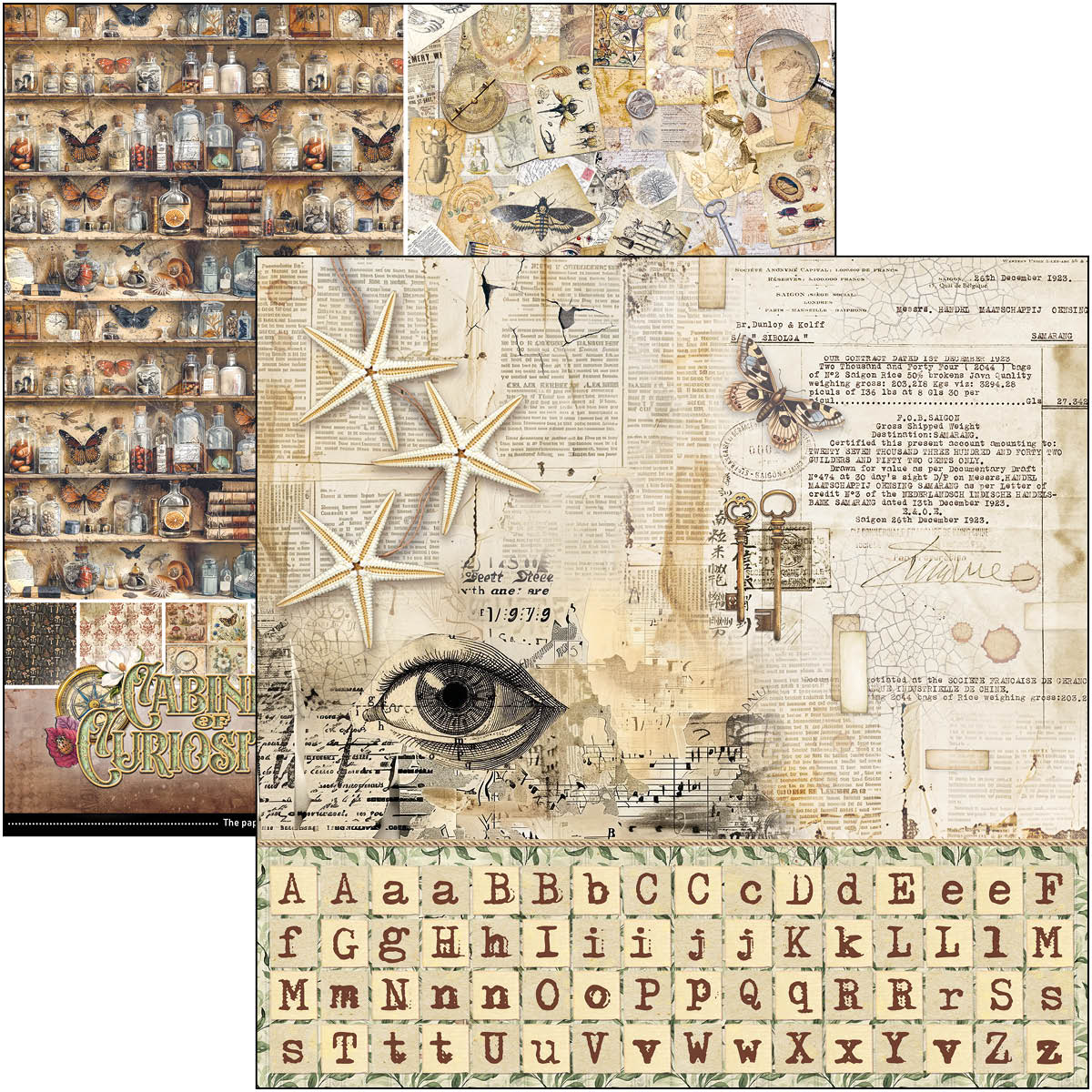 Bloc de motifs Cabinet Of Curiosities 30,5 x 30,5 cm, 8/Paquet