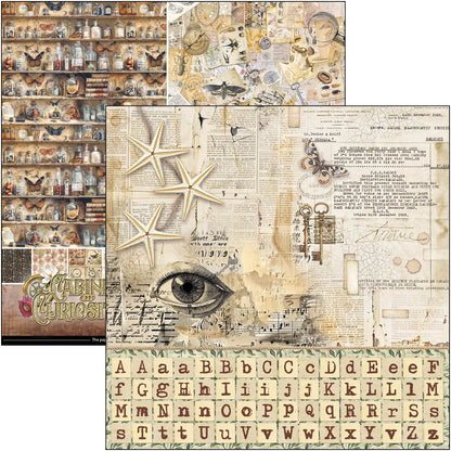 Bloc de motifs Cabinet Of Curiosities 30,5 x 30,5 cm, 8/Paquet
