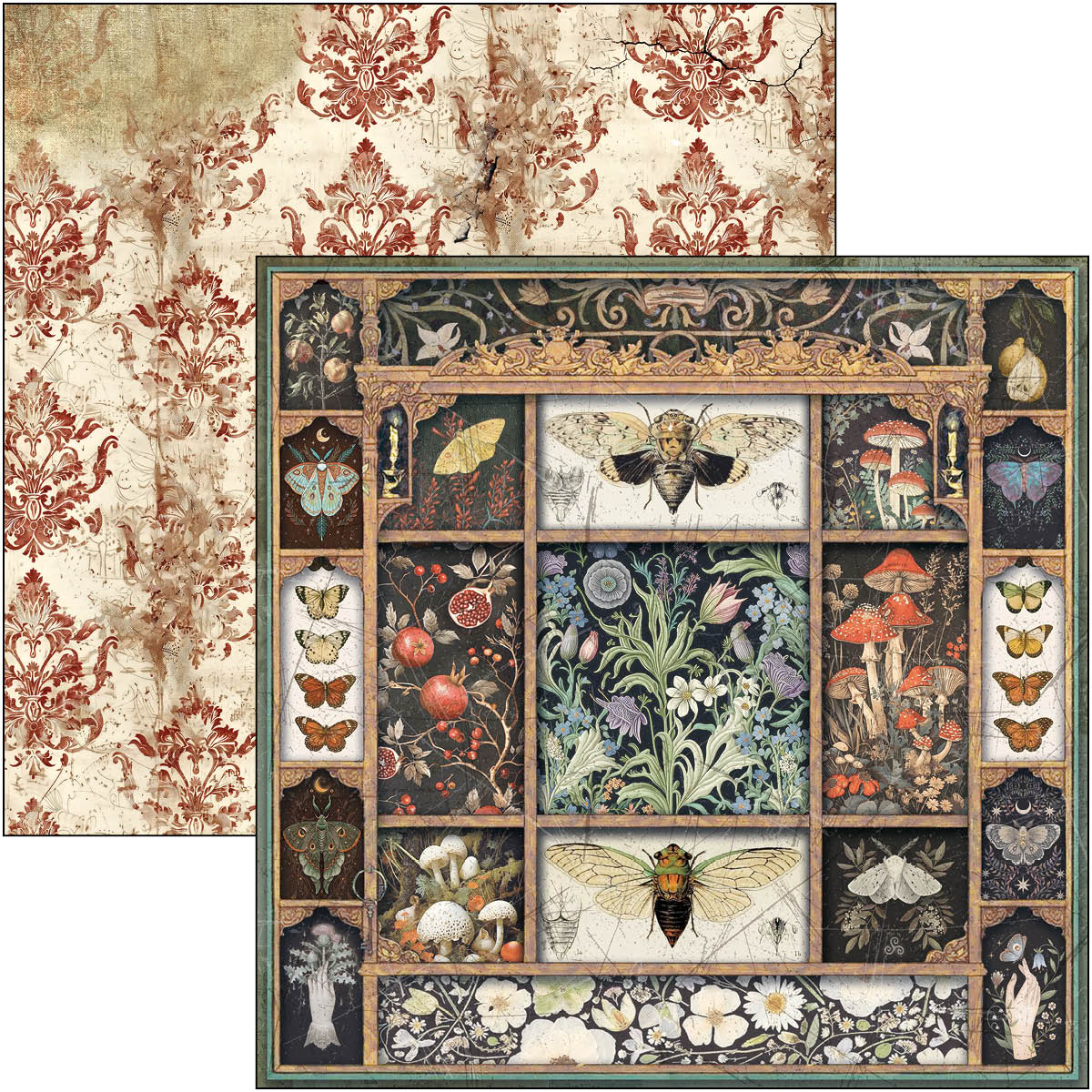 Bloc de motifs Cabinet Of Curiosities 30,5 x 30,5 cm, 8/Paquet