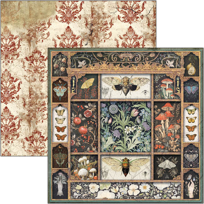 Bloc de motifs Cabinet Of Curiosities 30,5 x 30,5 cm, 8/Paquet