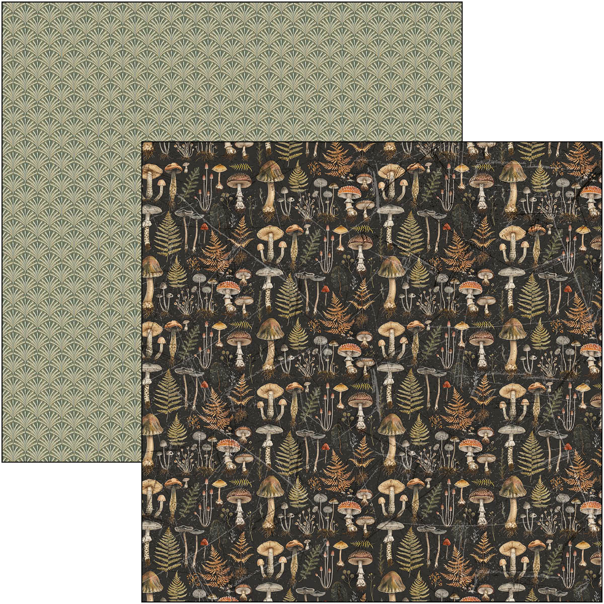 Bloc de motifs Cabinet Of Curiosities 30,5 x 30,5 cm, 8/Paquet