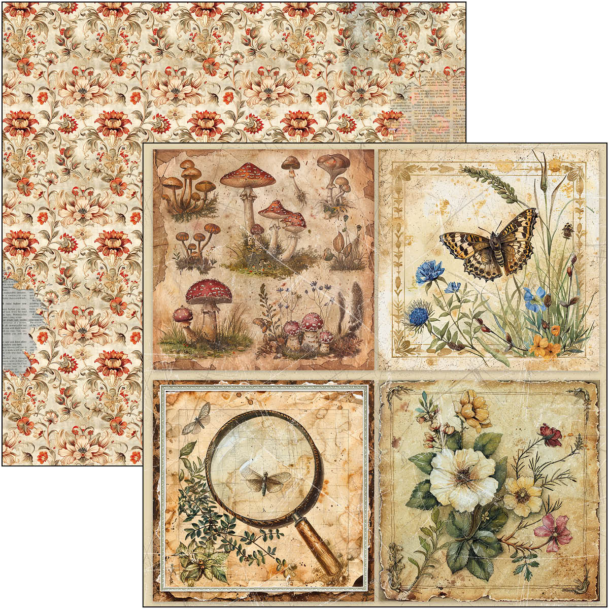 Bloc de motifs Cabinet Of Curiosities 30,5 x 30,5 cm, 8/Paquet
