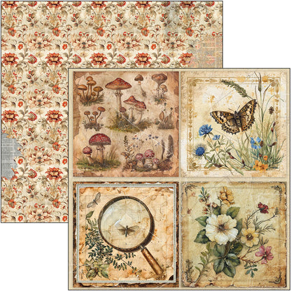 Bloc de motifs Cabinet Of Curiosities 30,5 x 30,5 cm, 8/Paquet