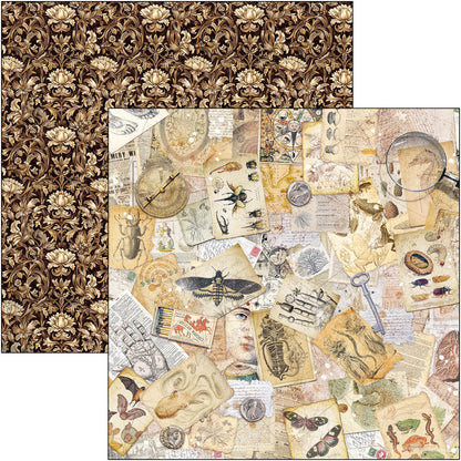 Bloc de motifs Cabinet Of Curiosities 30,5 x 30,5 cm, 8/Paquet