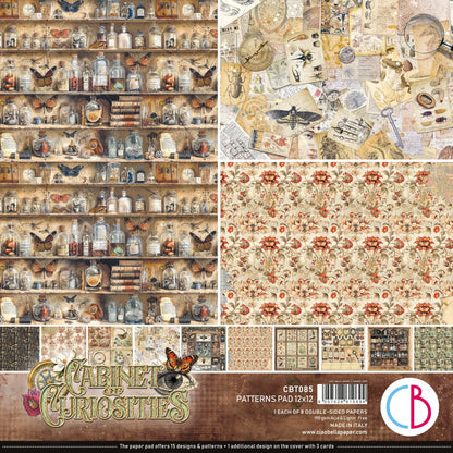 Bloc de motifs Cabinet Of Curiosities 30,5 x 30,5 cm, 8/Paquet