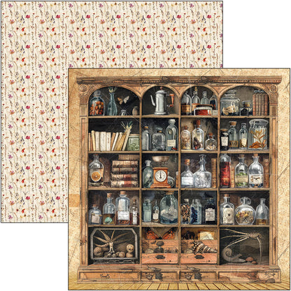 Bloc de motifs Cabinet Of Curiosities 30,5 x 30,5 cm, 8/Paquet