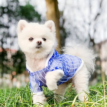 T-Shirt Chien Jeremiah | T-shirt Chien Transparent
