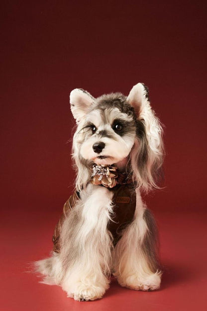 Salopette Joey pour chien | Gilet pour chien à porter au quotidien