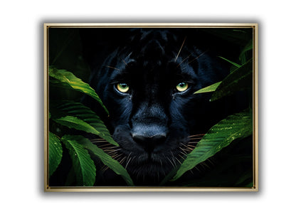 Wall Art-Rare Black Jaguar -Wildlife Canvas